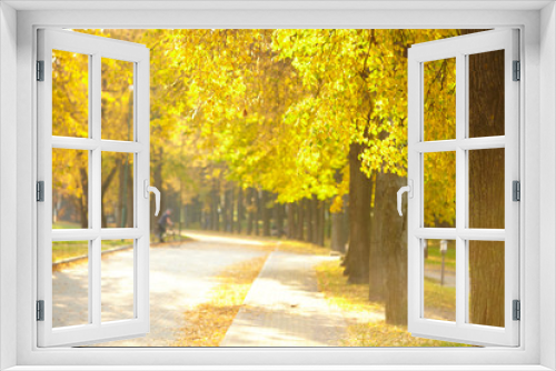 Fototapeta Naklejka Na Ścianę Okno 3D - autumn days