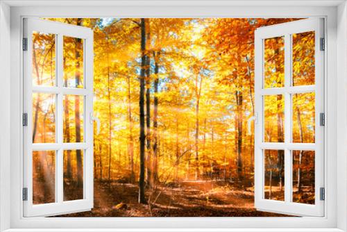 Fototapeta Naklejka Na Ścianę Okno 3D - Wald Panorama im goldenen Herbst