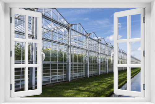 Fototapeta Naklejka Na Ścianę Okno 3D - Tomato Greenhouse Harmelen with Ditch