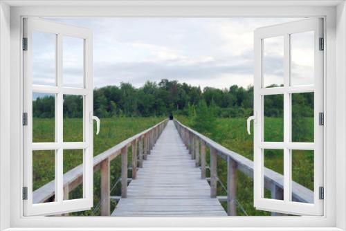 Fototapeta Naklejka Na Ścianę Okno 3D - wood path bridge boardwalk green swamp landscape environment