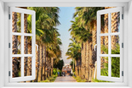 Fototapeta Naklejka Na Ścianę Okno 3D - Tropical palm tree alley at resort