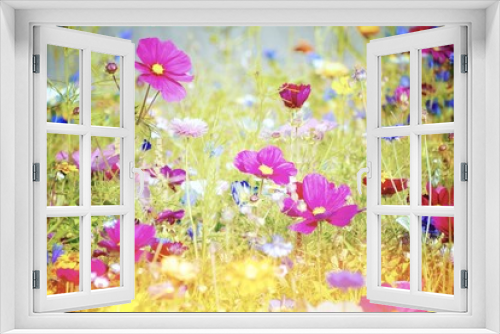 Fototapeta Naklejka Na Ścianę Okno 3D - Blumenwiese - Sommerblumen