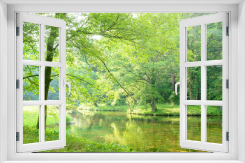 Fototapeta Naklejka Na Ścianę Okno 3D - 森の中の池