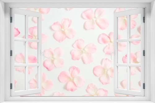 Fototapeta Naklejka Na Ścianę Okno 3D - Pink rose petals pattern on white background. Flat lay, top view. Valentine's background. Pattern of flowers.