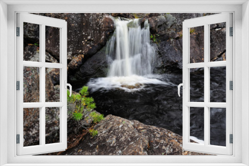 Fototapeta Naklejka Na Ścianę Okno 3D - Junge Kiefer vor Wasserfall, Hylströmmen, Schweden
