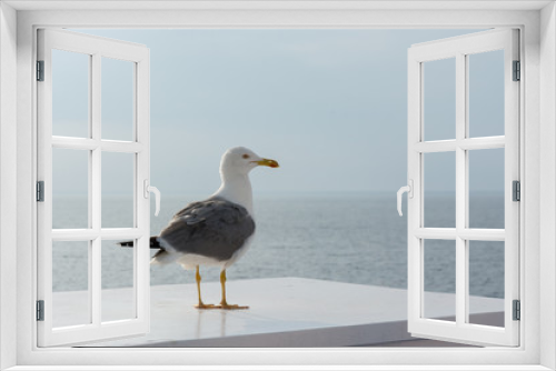 Fototapeta Naklejka Na Ścianę Okno 3D - Lazy seagull on the boat