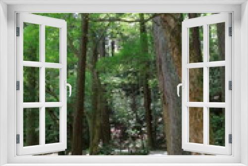 Fototapeta Naklejka Na Ścianę Okno 3D - 成田山公園の森