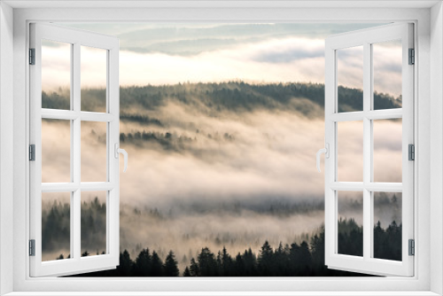 Fototapeta Naklejka Na Ścianę Okno 3D - Misty forest