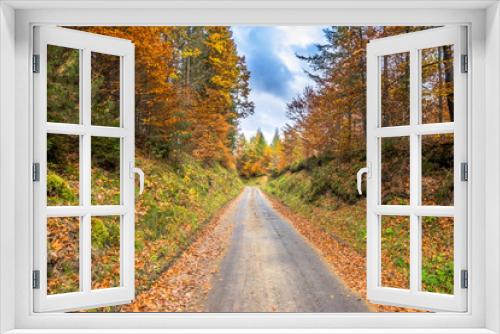 Fototapeta Naklejka Na Ścianę Okno 3D - Forest and country road, nature in autumn, landscape