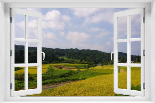 Fototapeta Naklejka Na Ścianę Okno 3D - 日本　田舎の風景　千石棚田　収穫の時