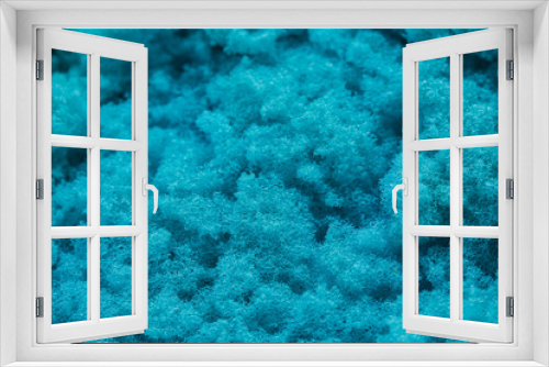 Fototapeta Naklejka Na Ścianę Okno 3D - Sponge blue old look used for cleaning.
