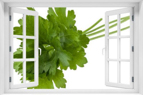Fototapeta Naklejka Na Ścianę Okno 3D - fresh parsley herb  leaves isolated on white background cutout