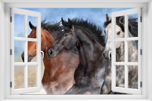 Fototapeta Naklejka Na Ścianę Okno 3D - Horses run fast in desert dust