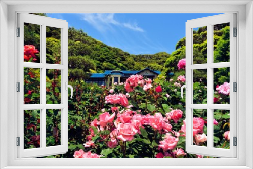 Fototapeta Naklejka Na Ścianę Okno 3D - 鎌倉の薔薇