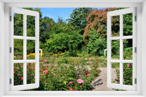 Fototapeta Naklejka Na Ścianę Okno 3D - botanischer  Garten, Krefeld