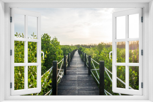 Fototapeta Naklejka Na Ścianę Okno 3D - mangrove forest