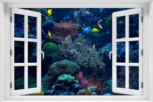 Fototapeta Naklejka Na Ścianę Okno 3D - underwater coral reef landscape. Coral garden with tropical fish