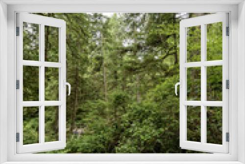 Fototapeta Naklejka Na Ścianę Okno 3D - Dschungel