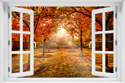 Fototapeta Naklejka Na Ścianę Okno 3D - Sunrays through red autumn trees in a park