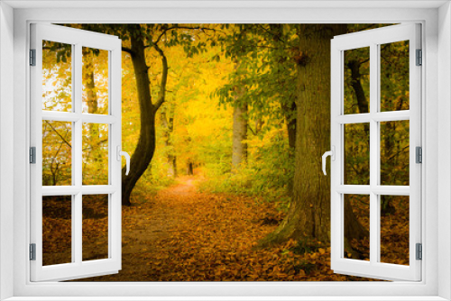 Fototapeta Naklejka Na Ścianę Okno 3D - Painterly walk through beautiful autumn forest scene