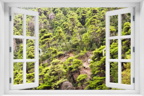 Fototapeta Naklejka Na Ścianę Okno 3D - Thick and fluffy fir forest on the hillside