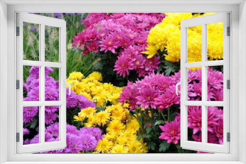 Fototapeta Naklejka Na Ścianę Okno 3D - tombe fleurie