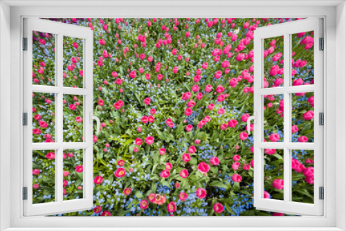 Fototapeta Naklejka Na Ścianę Okno 3D - a profusion of spring tulips