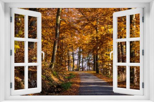 Fototapeta Naklejka Na Ścianę Okno 3D - Straße durch den Herbstwald