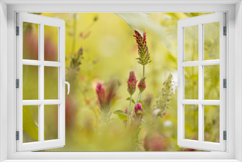 Fototapeta Naklejka Na Ścianę Okno 3D - Klee Symphonie