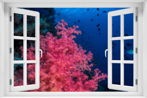 Fototapeta Naklejka Na Ścianę Okno 3D - Pretty in Pink