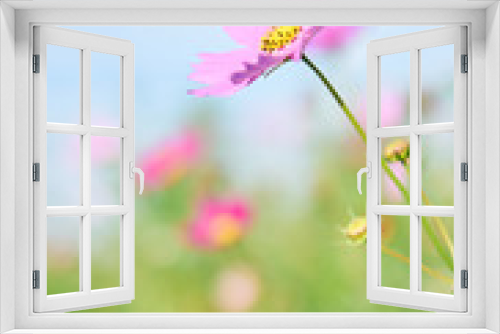 Fototapeta Naklejka Na Ścianę Okno 3D - アキザクラ