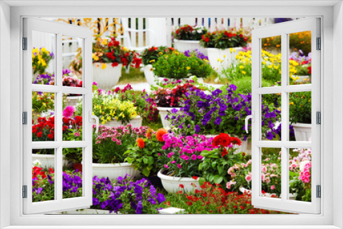 Fototapeta Naklejka Na Ścianę Okno 3D - Different kinds of garden flowers in pots. Landscape design flowers. Colorful petunias in potflowers