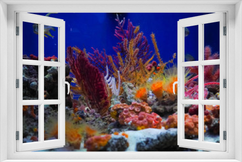 Fototapeta Naklejka Na Ścianę Okno 3D - underwater coral reef landscape background in the deep blue ocean with colorful fish and marine life, blurred background