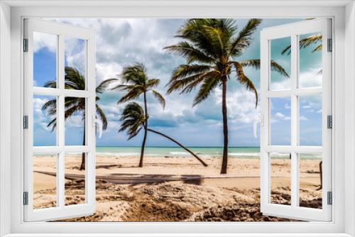Fototapeta Naklejka Na Ścianę Okno 3D - A Fallen  Palm tree after hurricane Irma.