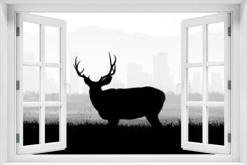 Fototapeta Naklejka Na Ścianę Okno 3D - Denver - Buck Silhouette
