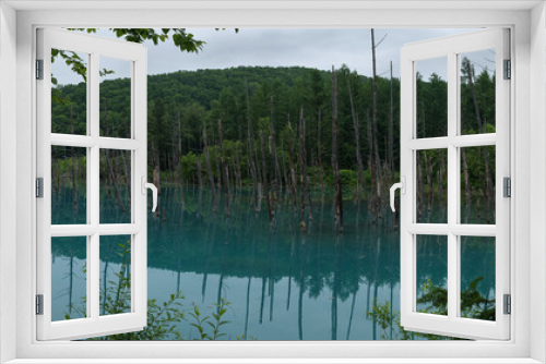 Fototapeta Naklejka Na Ścianę Okno 3D - Reflections in the clear blue water of Shirogane Blue Pond, Biei, Hokkaido, Japan