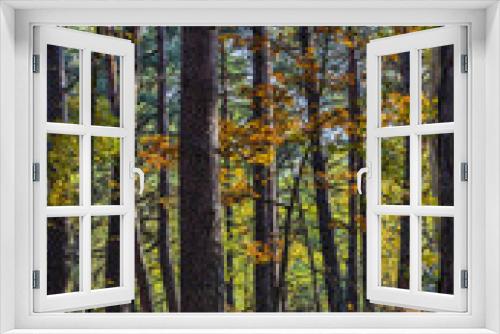 Fototapeta Naklejka Na Ścianę Okno 3D - Autumn Scene in Fontainebleau Forest