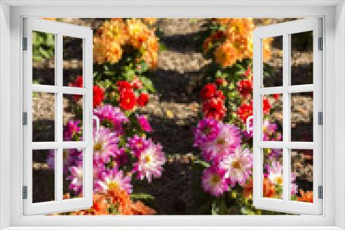 Fototapeta Naklejka Na Ścianę Okno 3D - Clourful flower in garden