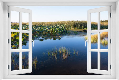 Fototapeta Naklejka Na Ścianę Okno 3D - Autumn wetlands