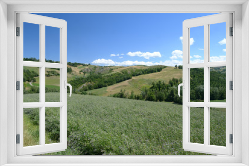 Fototapeta Naklejka Na Ścianę Okno 3D - Rivalta di Lesignano (Parma, Italy): summer landscape