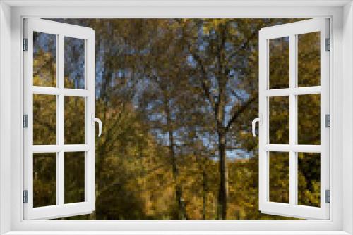 Fototapeta Naklejka Na Ścianę Okno 3D - Herdfst in de bossen van Zuid-limburg, in Vijlen