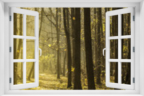 Fototapeta Naklejka Na Ścianę Okno 3D - Jesienny Park