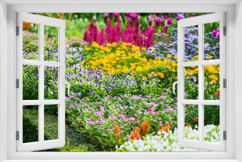 Fototapeta Naklejka Na Ścianę Okno 3D - colorful flower.