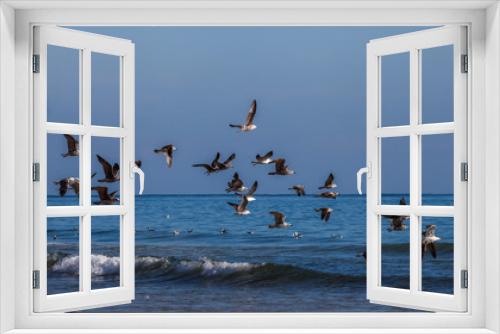 Fototapeta Naklejka Na Ścianę Okno 3D - Oiseau