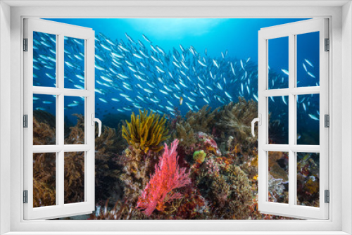 Fototapeta Naklejka Na Ścianę Okno 3D - Underwater wonderland