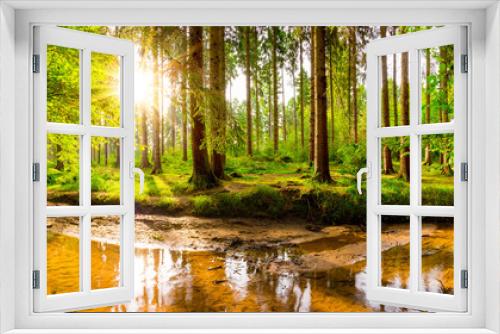 Fototapeta Naklejka Na Ścianę Okno 3D - Beautiful forest with green trees, creek and bright sun