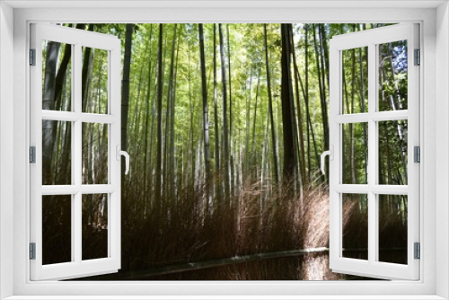 Fototapeta Naklejka Na Ścianę Okno 3D - Bamboo garden