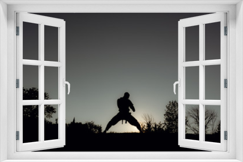 Fototapeta Naklejka Na Ścianę Okno 3D - Martial Artists Silhouette - Elbow Strike