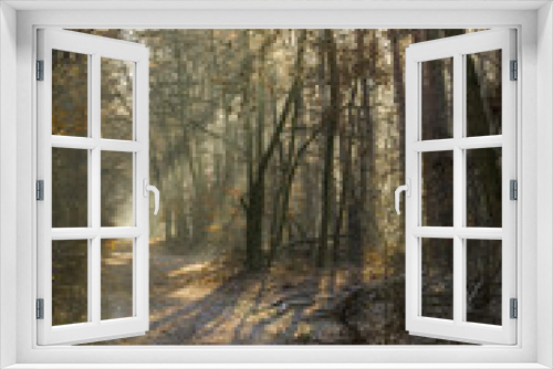 Fototapeta Naklejka Na Ścianę Okno 3D - Wald vom Sonnenlicht durchflutet