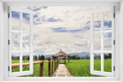 Fototapeta Naklejka Na Ścianę Okno 3D - Hut and rice field in nature